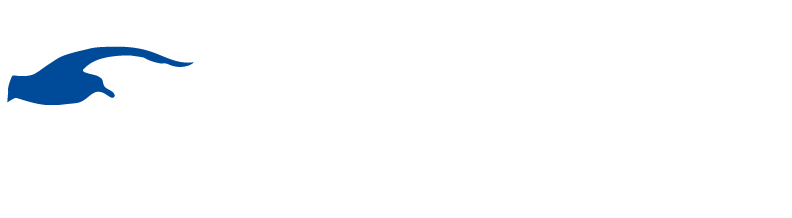 Fondazione il Gabbiano Logo