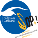 Progetto Sopr